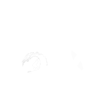 LOCO SURF MAROC